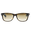 Ray-Ban RB2132